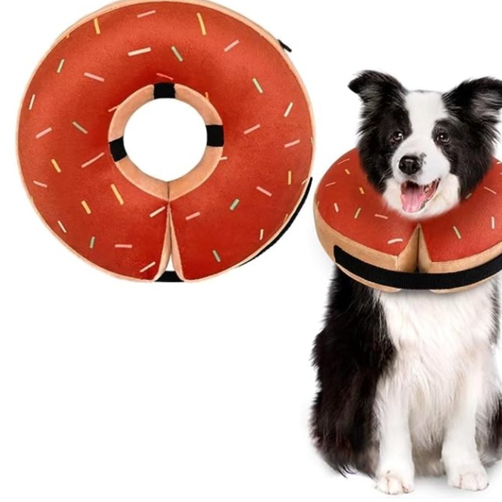 Dog Donut Cone Collar